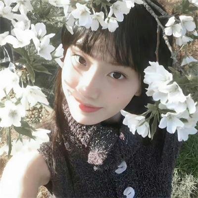 趁青春仍在时
