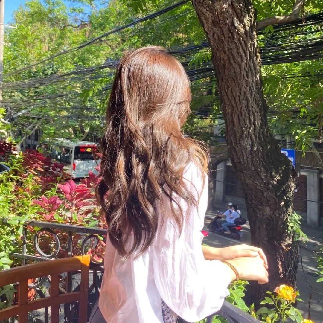布朗蒂姊妹